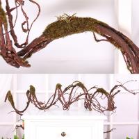 uploads/erp/collection/images/Home Garden/CongDing/XU0612448/img_b/XU0612448_img_b_4